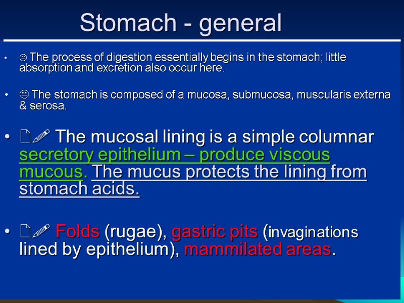 Stomach - general   The process of digestion essentially begins in the stomach;